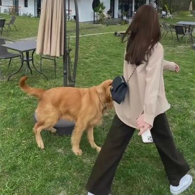 黑色大风暴